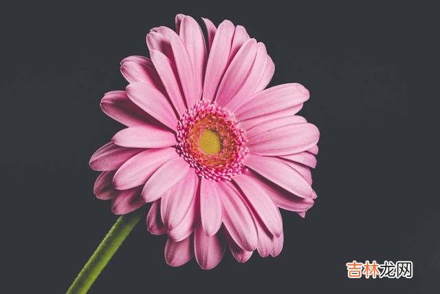 关于男人到底会不会介意 在我眼中，一个女人有过同居的经历，其实已经是二婚了