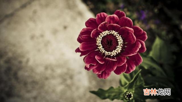 1.对男人来说 一个男人爱不爱自己，看这三点就知道了