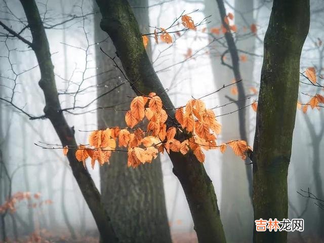 当婚姻因为暧昧 结婚5年，他再婚后才发现自己的婚姻结局让我们很意外