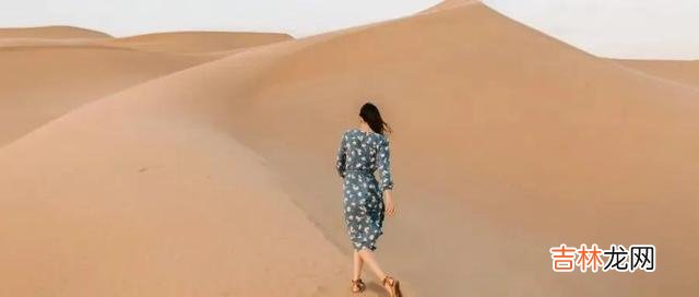 《风雨哈佛路》是我最喜欢的一部电影 当你奔波于劳累生活的时候,请你相信读书的力量