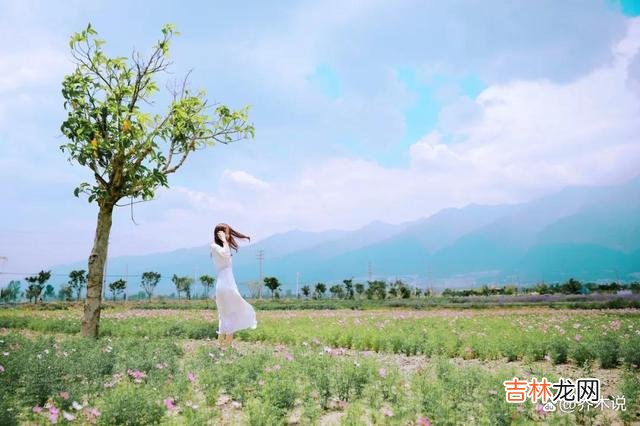 1.有三种东西会伤害人：忧虑、争吵和钱包空空。|有三种东西会伤害人：忧虑、争吵和钱包空空