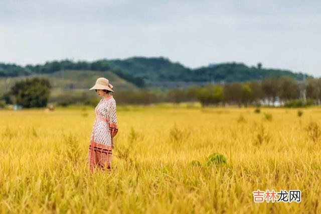 1.人这一辈子 人在低谷期，就是最好的学习期，用这样的方式提醒你