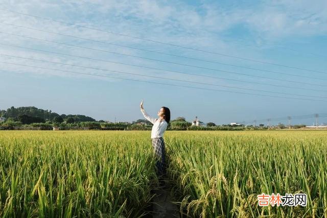 1.在感情里 在感情里，一个男人对女人的偏爱，一定会给你精神指引