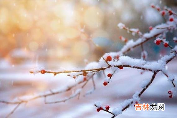 在我们一贯的认知里 在这三件事上,你越大方人缘越差,聪明人不会犯傻