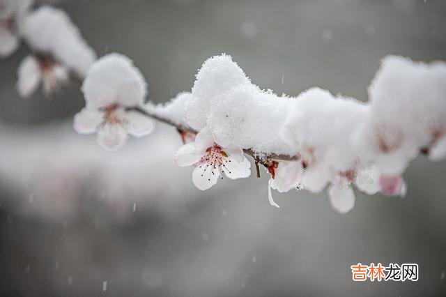 在我们一贯的认知里 在这三件事上,你越大方人缘越差,聪明人不会犯傻