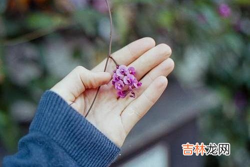 有句话说：少来夫妻老来伴儿。|夫妻步入晚年，谁更离不开谁，三位过来人说出内心真实想法