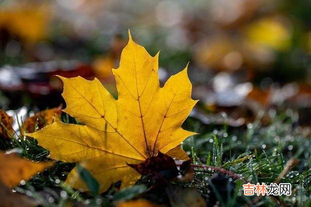 我们常说 男人断联后，真正放下你，可以从一个细节中发现端倪