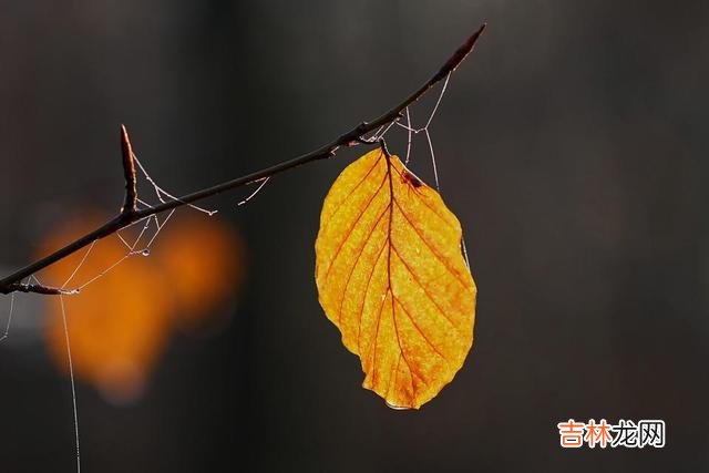 我们常说 男人断联后，真正放下你，可以从一个细节中发现端倪