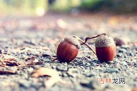 一个人人品好心气正，往往有这几种特征，早晚成大器