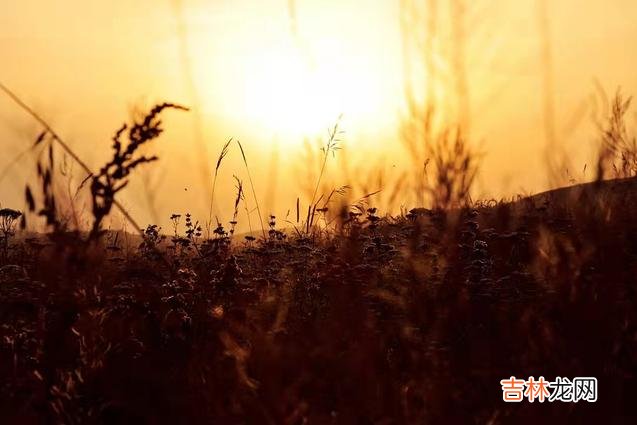 现在的社会风气越来越浮躁 真正的有钱人，往往一眼就能被看出来，有三个细节掩饰不了