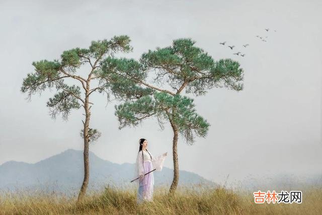 越是在忙碌中，女人越应该，好好读一读书