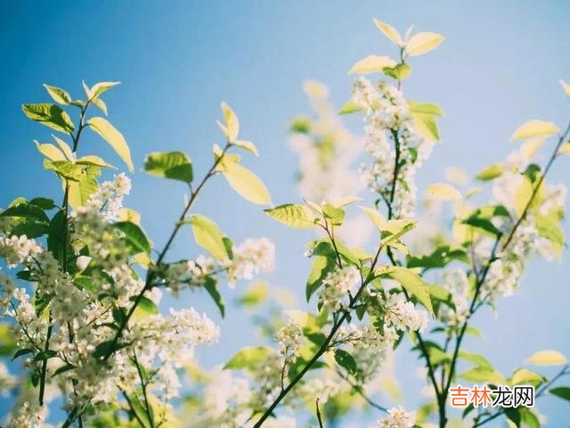 1.总有一个人 分手之后,不要再互相打扰,不要再惦记就好