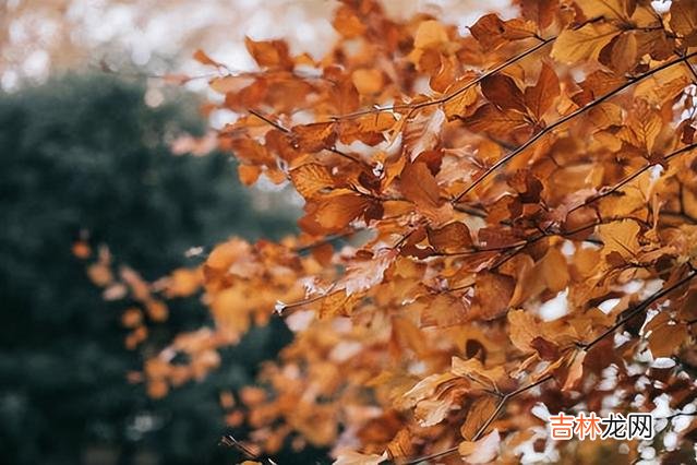 每个人都希望自己的成功能够被人看见 年过五十之后，少年轻狂已经不再是一个好的形容词