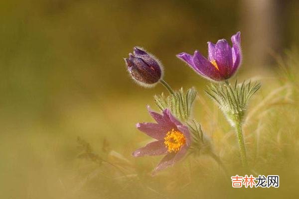 现如今 微信朋友圈发这几种习惯,不管是谁,我们都建议你深交