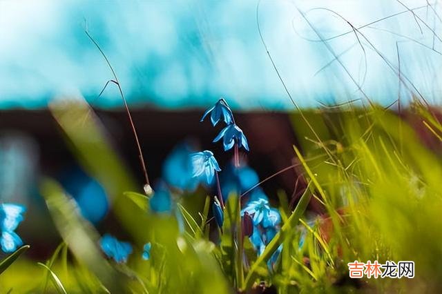 这世间 兄弟姐妹之间关系再好，也要做到这四句话
