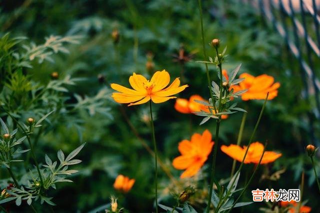 这世间 兄弟姐妹之间关系再好，也要做到这四句话