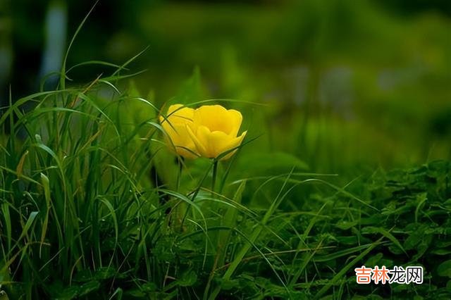 这世间 兄弟姐妹之间关系再好，也要做到这四句话