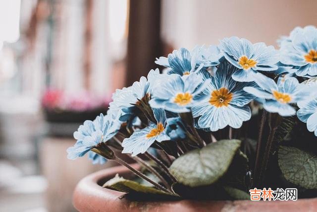 俗话说 人老了，老伴先走一步，聪明人绝对不会做这三种糊涂事