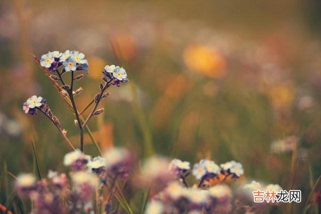 俗话说 人老了，老伴先走一步，聪明人绝对不会做这三种糊涂事