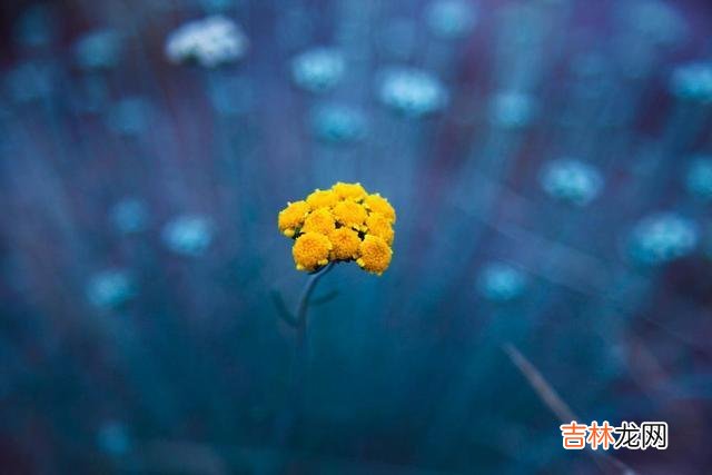 俗话说 人老了，老伴先走一步，聪明人绝对不会做这三种糊涂事