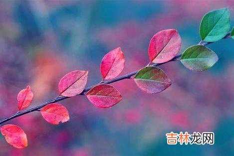 我一直觉得亲家之间最好的关系 以下三种话，能不在亲家面前说，就尽量别说，显得情商很低