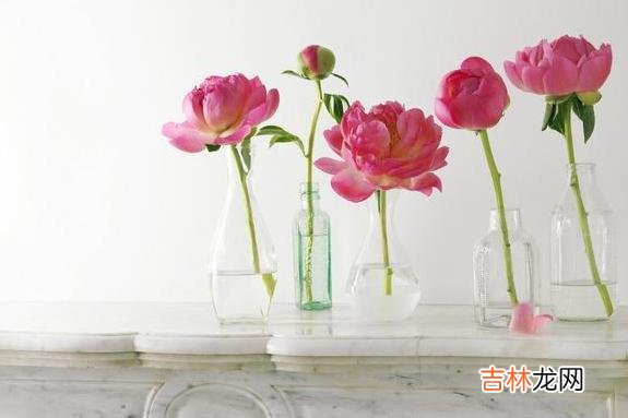 爱情 女人彻底死心时，不会断联也不会拉黑，而是做到了这两个字！