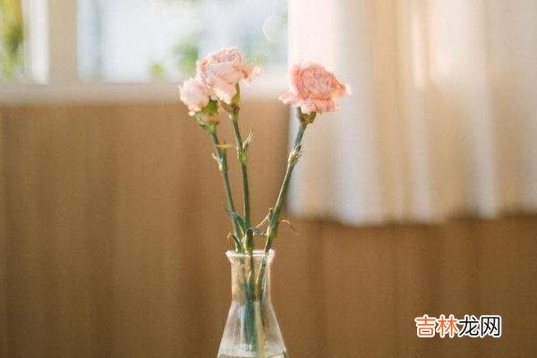 爱情 女人彻底死心时，不会断联也不会拉黑，而是做到了这两个字！