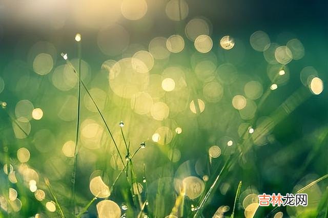 如今是自由恋爱的时代 结婚时留心对方家庭的三个细节，一旦忽视，后患无穷