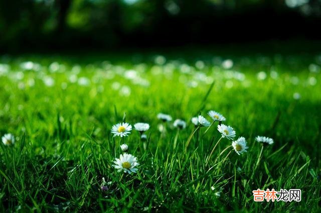 如今是自由恋爱的时代 结婚时留心对方家庭的三个细节，一旦忽视，后患无穷