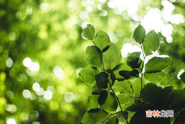 如今是自由恋爱的时代 结婚时留心对方家庭的三个细节，一旦忽视，后患无穷