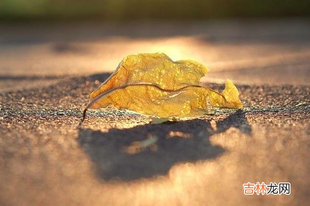 每个人身边或多或少都会有几个朋友 身边一个朋友都没有，往往说明了一个问题