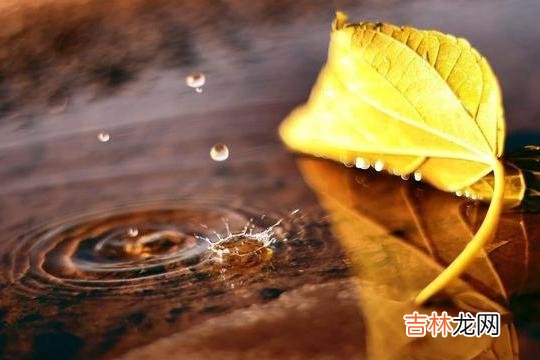 每个人身边或多或少都会有几个朋友 身边一个朋友都没有，往往说明了一个问题
