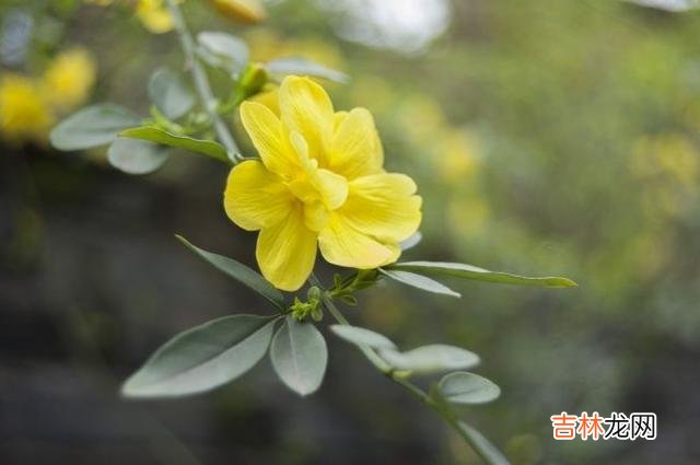 孝顺一直是中华民族的传统美德 老了才知道，让子女孝顺自己，也是有条件的，很现实