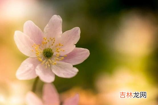 一个家庭的兴衰 如果一个家庭经常出现以下两件怪事，就要警惕了