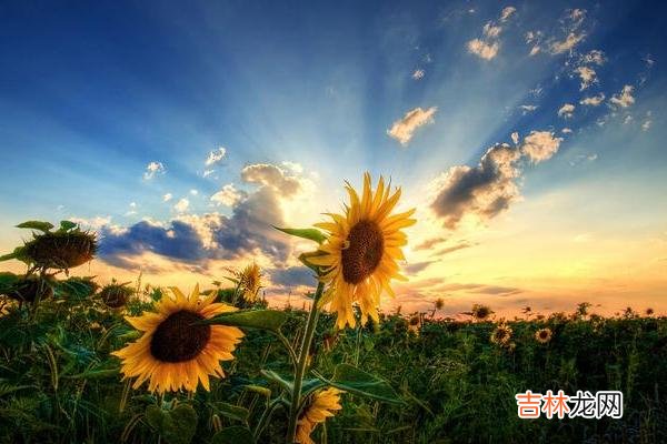 有时候 别对外说娘家的家底，以免被人眼红或被人惦记