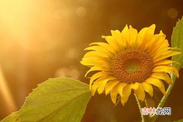 有时候 别对外说娘家的家底，以免被人眼红或被人惦记