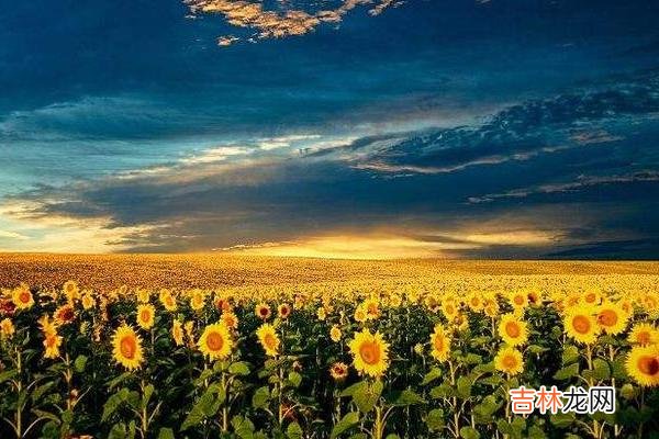 有时候 别对外说娘家的家底，以免被人眼红或被人惦记