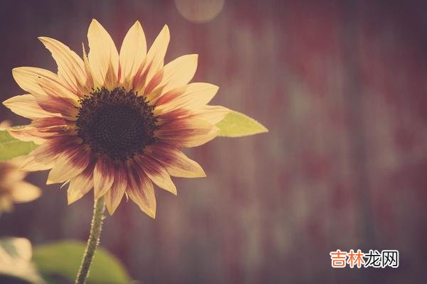有时候 别对外说娘家的家底，以免被人眼红或被人惦记
