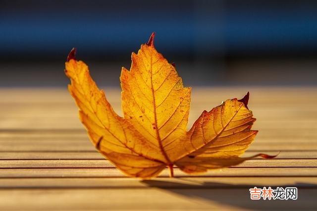 我们常说 命中出现这两个人，就是老天派来渡你的，别不知道