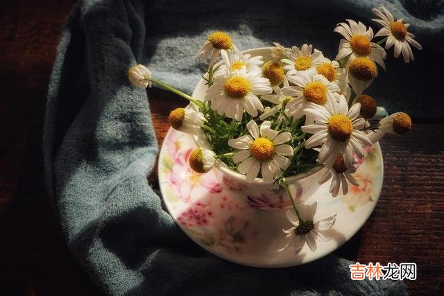 真正聪明的女人，往往不会说这两句话
