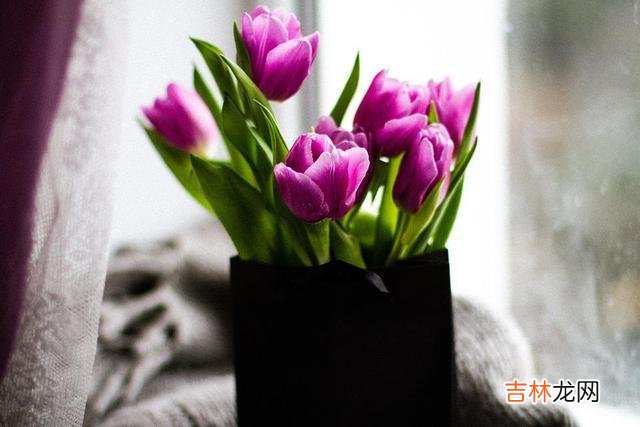 真正聪明的女人，往往不会说这两句话