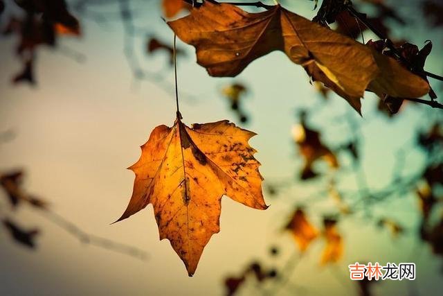 人生是一个漫长的过程 实际上，对一个人最狠的报复也就是这4个字