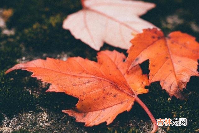 人生是一个漫长的过程 实际上，对一个人最狠的报复也就是这4个字