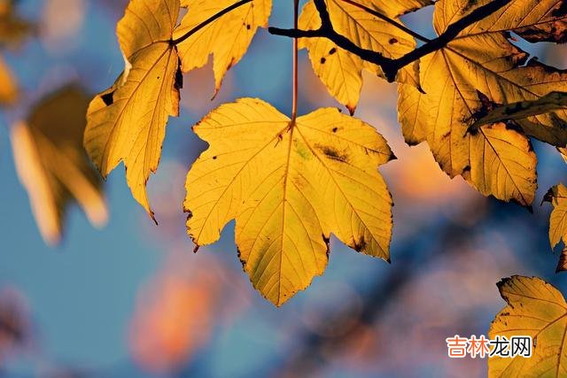 不喜欢换微信头像的女人，往往有以下四种表现