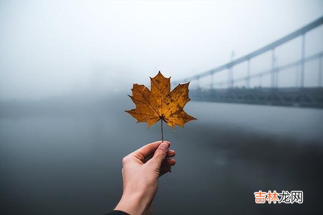 我们中国人向来是含蓄的 送给朋友的礼物，千万不要随意转送