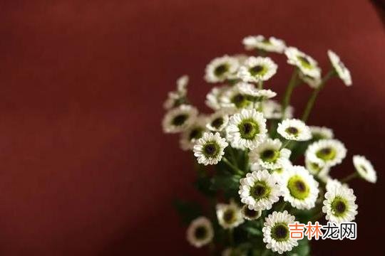 父母之爱子 人老了，不论有多爱自己的子女，也不能在这几件事上面帮助他们