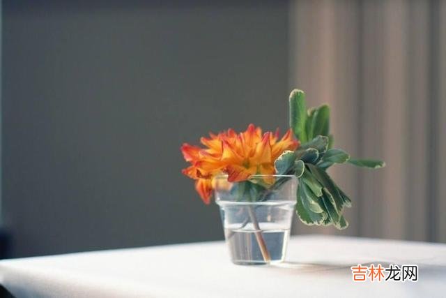父母之爱子 人老了，不论有多爱自己的子女，也不能在这几件事上面帮助他们