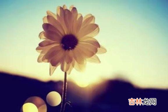水能行舟 一个人是穷修养还是富贵命，从他的嘴就能看出来