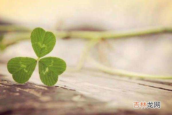 水能行舟 一个人是穷修养还是富贵命，从他的嘴就能看出来
