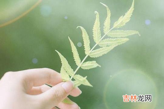 水能行舟 一个人是穷修养还是富贵命，从他的嘴就能看出来